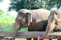 Lampang-Lampoon Day Trip 1