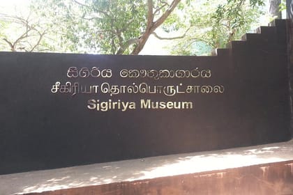 Sigiriya Rock and Dambulla Temple Day Tour from Trincomalee