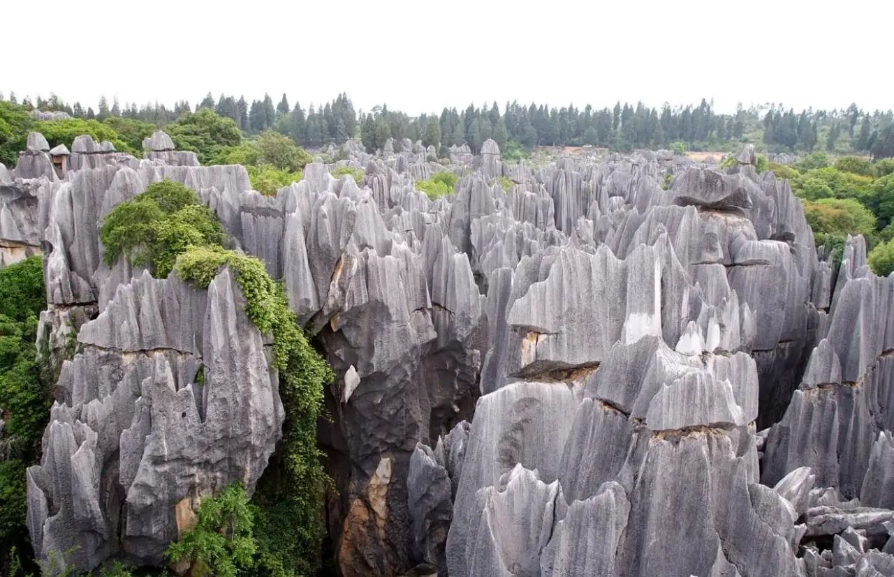 Stone forest natural scenery