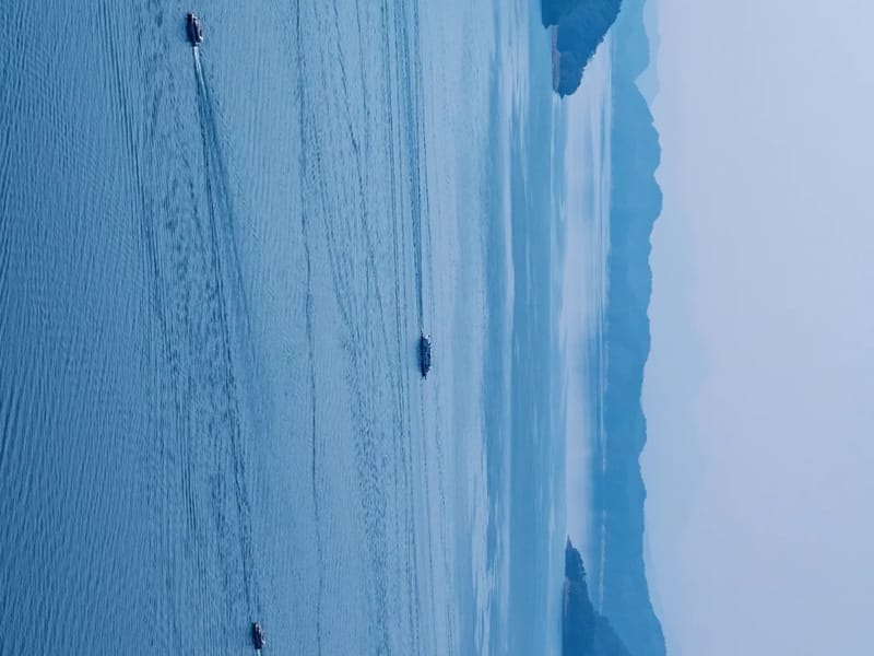 Hangzhou: Qiandao Lake Lakeside Cycling Private Day Trip