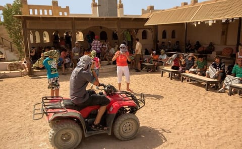 ATV and Camel Safari with BBQ Dinner in Hurghada