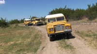 The Wild Calls - Unique Jeep Safari 5