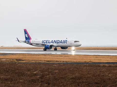 Reykjavik to Keflavik Airport (KEF): Private Departure Transfer by Sedan or Van, photo 11