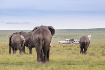 Maasai Mara National Reserve Fly-In Safari Day Trip