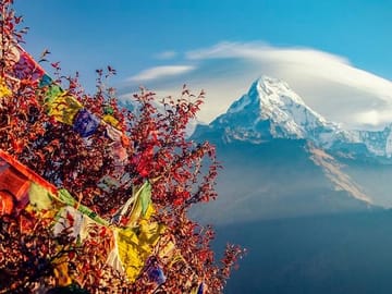 Pokhara, Dhampus Village, and Chitwan National Park Tour