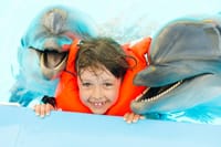 Premium 5 Minutes Dolphin Swimming Experience - Hurghada 2