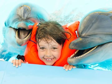 Premium 5 Minutes Dolphin Swimming Experience – Hurghada