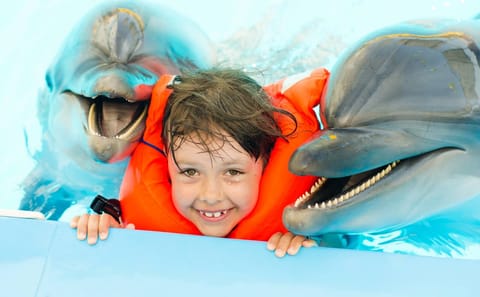 Premium 5 Minutes Dolphin Swimming Experience – Hurghada