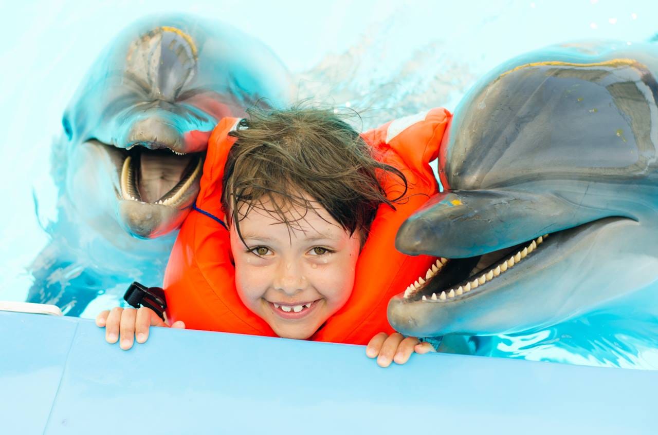 Premium 5 Minutes Dolphin Swimming Experience - Hurghada 2
