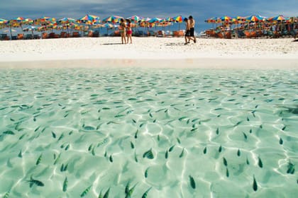 A Relaxing Getaway to the Exotic Islands, 12 Days