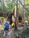 Jungle Trekking Tour at Phnom Kulen National Park from Siem Reap 8