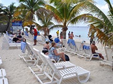 Half-Day Zip Line and Wildlife Experience in Roatán