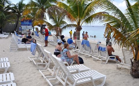 Half-Day Zip Line and Wildlife Experience in Roatán