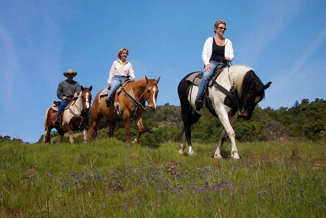 Fethiye Horse Riding - Professional Instructor & Friendly Horses 2