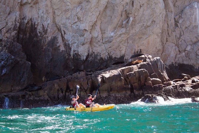 kayak sea lions cabo san lucas sea of cortez wildlife kayaking tour los cabos lands end marine life baja california sur mexico