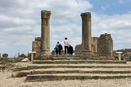 Fes: Full-Day Trip to Volubilis, Moulay Idriss, and Meknes