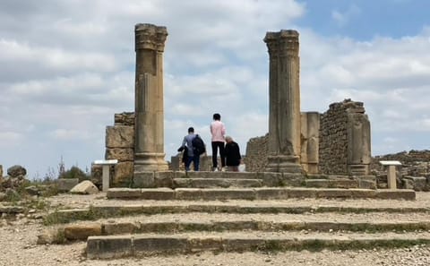 Full-Day Cultural Tour of Meknes and Volubilis from Fes
