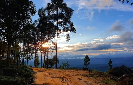 Amazing Sembuwatta Lake Day Tour (German & English)