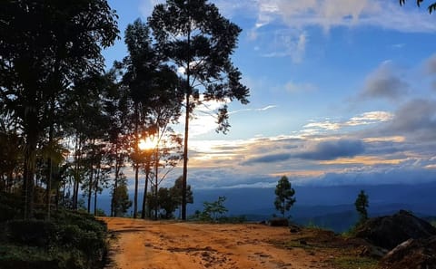 Sembuwatta Lake Nature Tour in Kandy, Sri Lanka