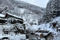 Nagano Private Full-Day Tour 4