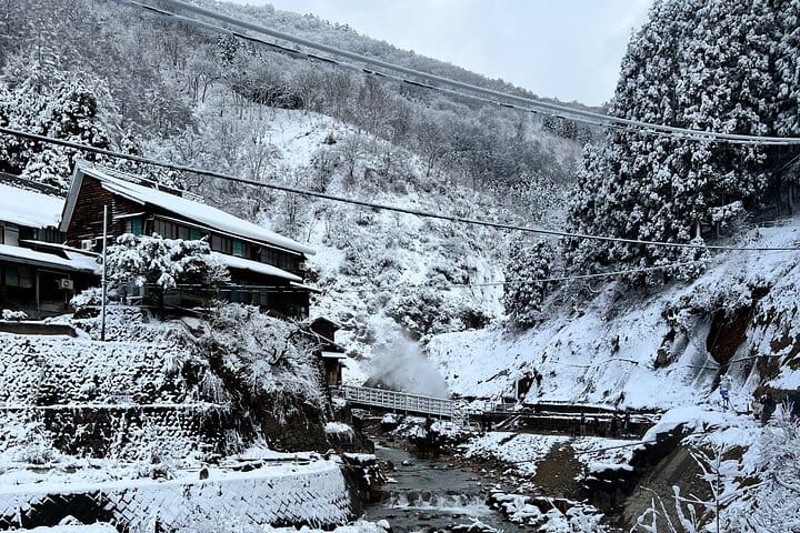 Nagano Private Full-Day Tour 4