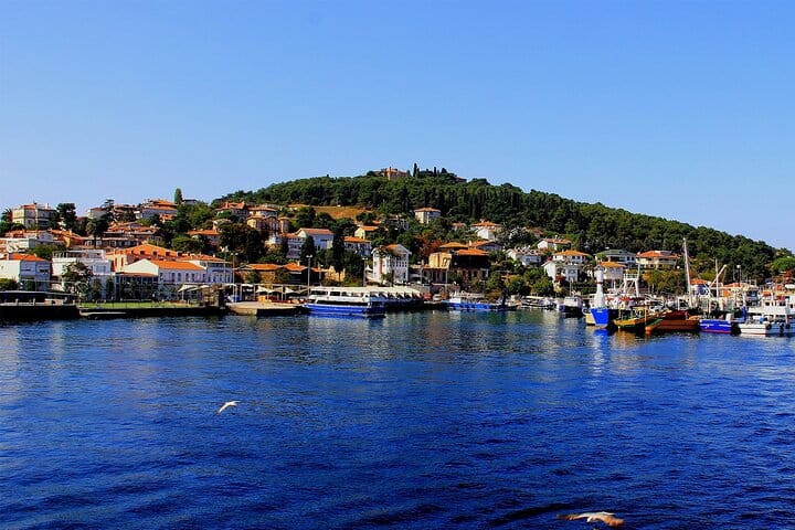  Istanbul: Princes Islands Tour with Hotel Transfer & Lunch 9