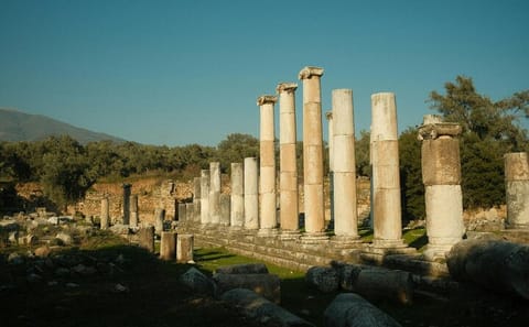 Full Day Tour of Ancient Ruins in Priene, Miletos, Didyma