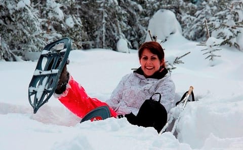 Full-Day Snowshoeing Tour in High Tatras from Poprad