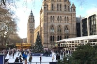 8 Day Winter Wonderland English Language Course in London 2