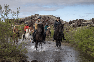 Viking Horses Mjölnir Afternoon Tour