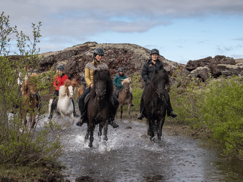Viking Horses Mjölnir Afternoon Tour