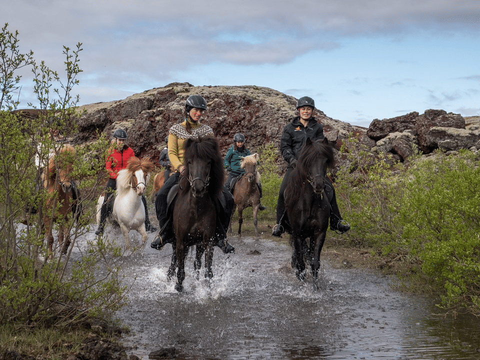 Viking Horses Mjölnir Afternoon Tour — Viking Horses