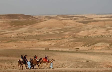 Camel Ride in Agafay Desert from Marrakech