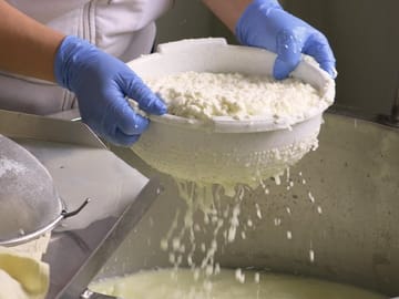 See the halloumi-making in action