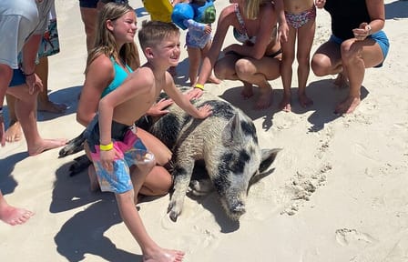 Rose Island 3 Island Luxury Private Tour(8hrs)