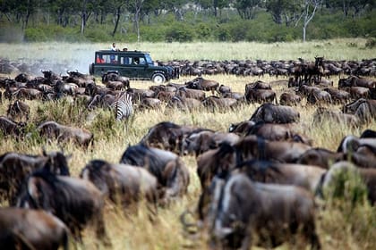 3-Day Masai Mara Private Flying Safari – 4 X 4 Game Drives