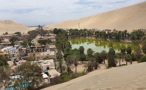 Dune Buggy and Sandboarding Adventure in Huacachina, Ica