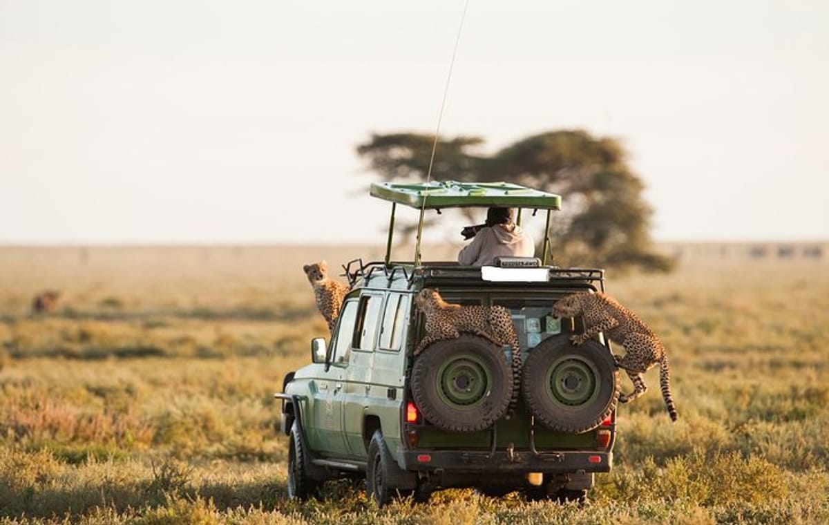 6-Day Best Kenya Private Safari: Samburu, Lake Nakuru & Masai Mara Park