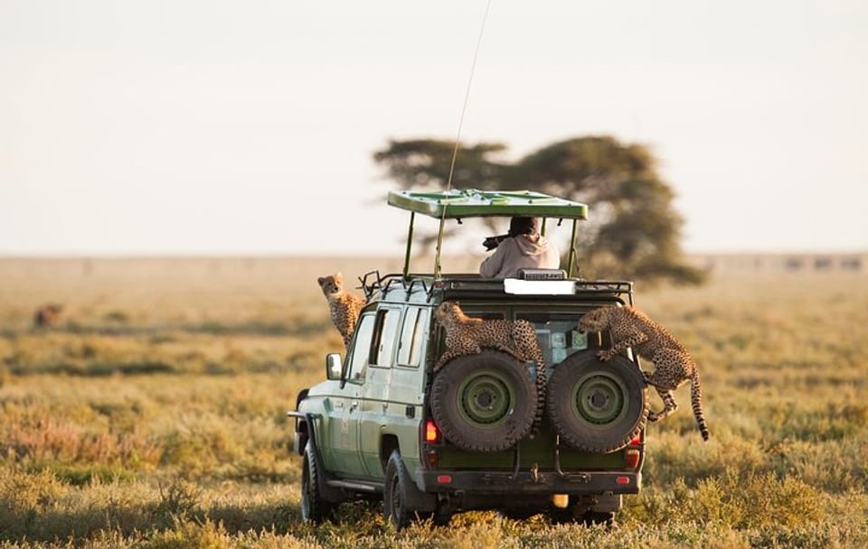 Private 6-Day Safari Tour of Samburu, Lake Nakuru & Masai Mara