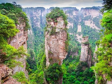 Forest Park (Avatar Mountain) 1-day tour with VIP Access