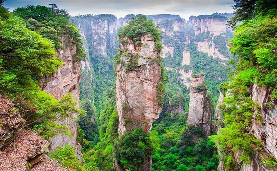 VIP Forest Park tour of Avatar Mountain in Zhangjiajie