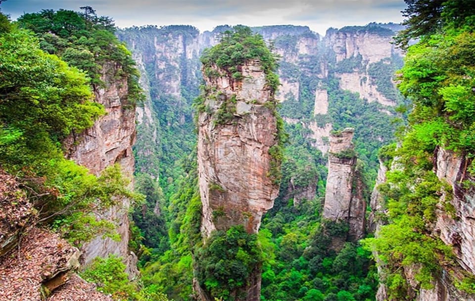 VIP Forest Park tour of Avatar Mountain in Zhangjiajie