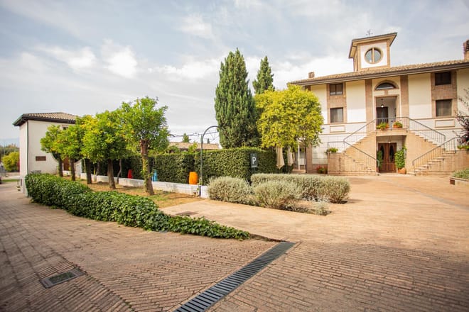 Visit the Vigna Madre Winery and Taste its Wines - Photo 5