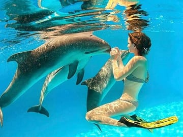 Snorkeling with Dolphins at Sataya in Marsa Alam, Egypt