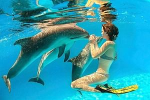 Snorkeling Day Trip With Dolphin at Sataya By VIP Boat-Marsa Alam