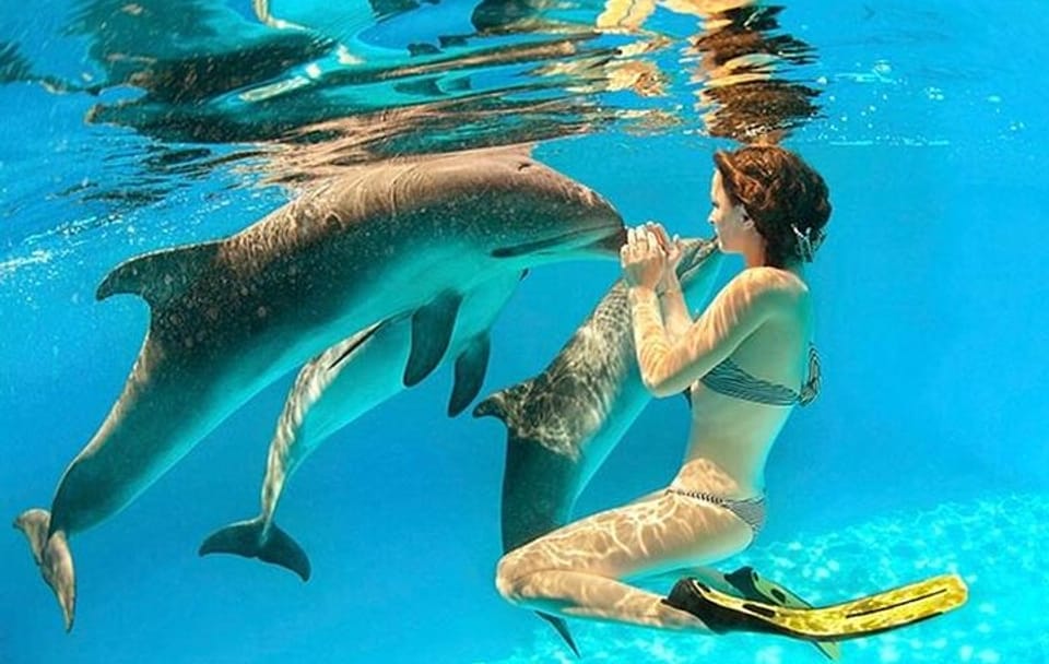 Snorkeling with Dolphins at Sataya in Marsa Alam, Egypt