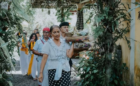 Bali Wellness and Culture Tour with Spa Experience