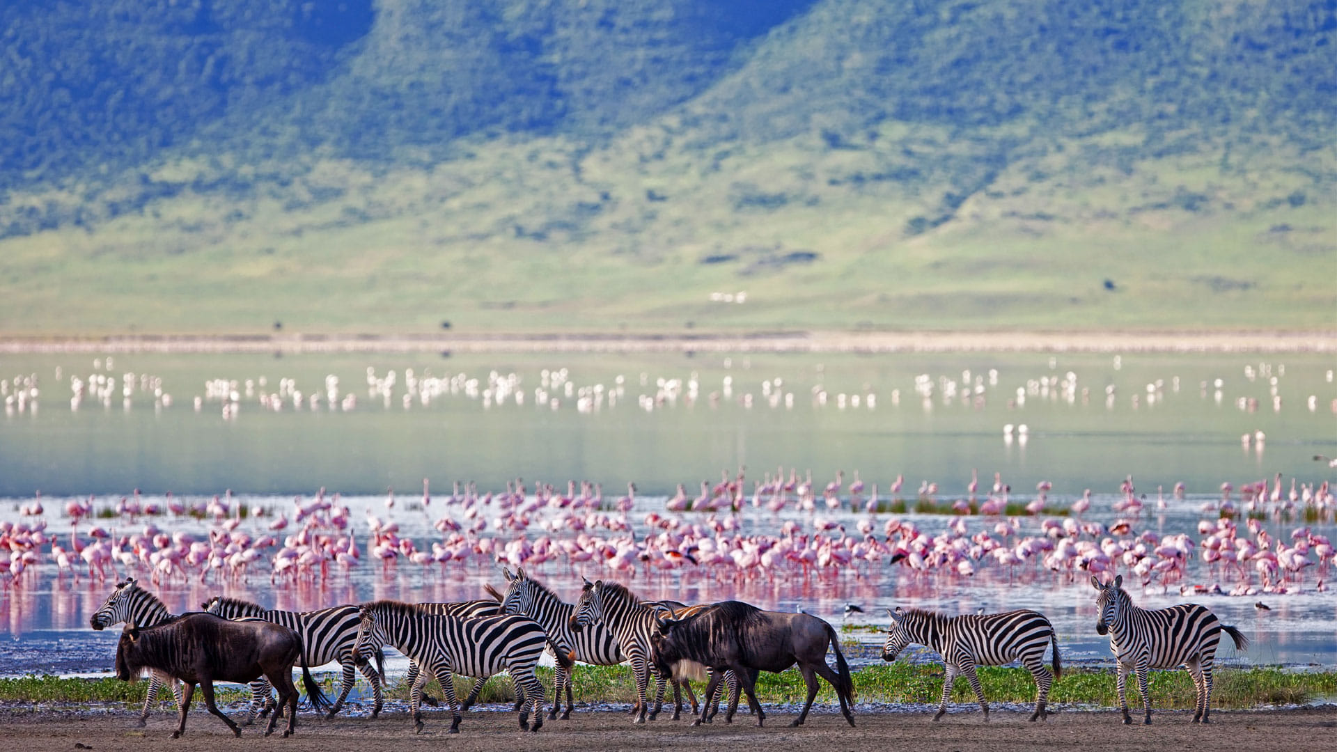 lake-Nakuru-pink-lake