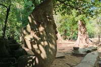 Private One Day to Banteay Srei, Beng Mealea and Rolous Group 3