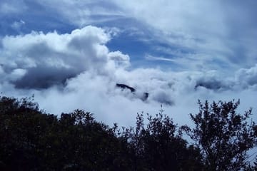 3-Day Wildlife and Adventure Tour in Manu National Park, Peru